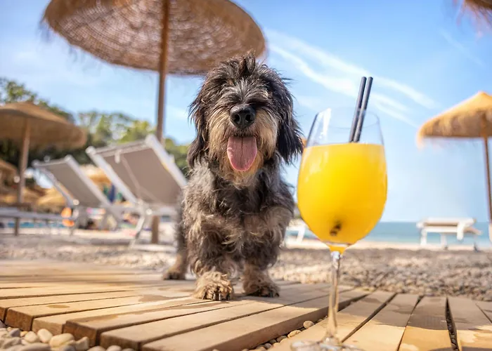 Sunny By Valamar Poreč